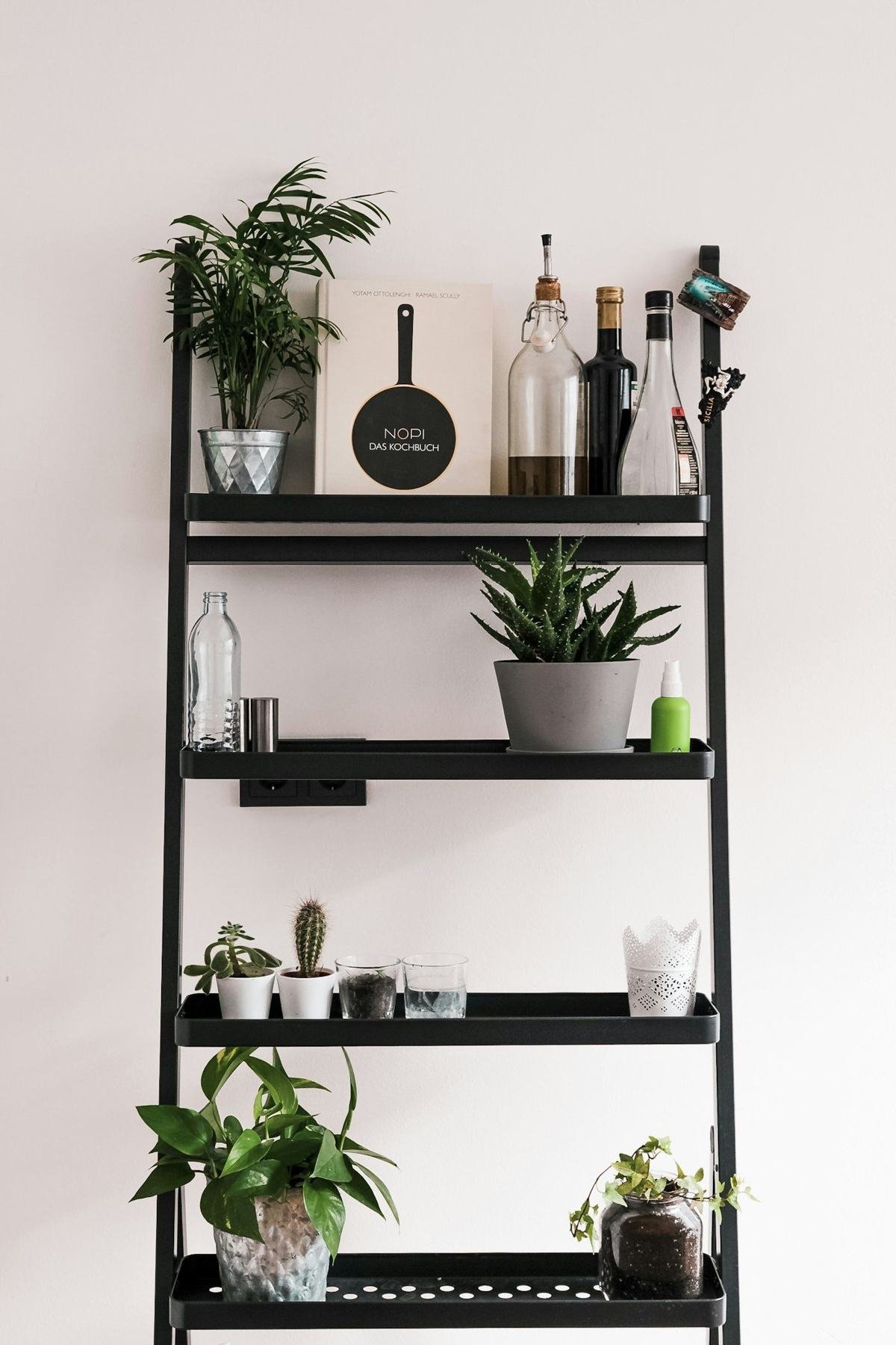 Black open kitchen shelves holding plants, bottles, bowls and cooking utensils.